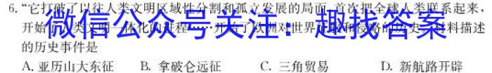 湖北省2022-2023学年度九年级上学期期末质量检测历史