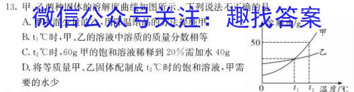 安徽省2023届第二学期九年级作业辅导练习化学