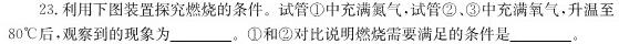 九师联盟2022-2023学年高三3月质量检测(L)化学