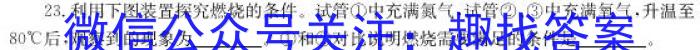 江西省2023年初中学业水平模拟考试（一）化学