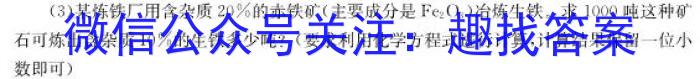 江西省2023年初中学业水平模拟考试（四）化学