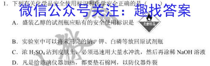 2023年湖南省高三年级高考冲刺试卷（二）化学