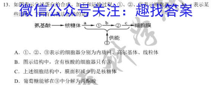 2023衡水金卷先享题信息卷 新高考新教材(六)生物