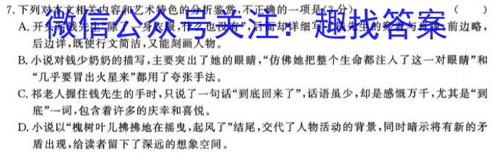 安徽省2025届七年级下学期阶段评估（一）【5LR】语文