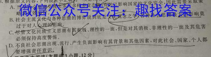 2023年“安徽省示范高中皖北地区”第25届高三联考（3月）语文