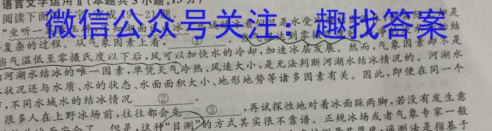 安徽省2024届芜湖市高二上学期期末学情检测（23-261B）语文