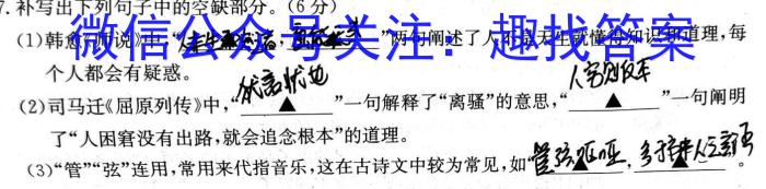 2023年普通高等学校招生全国统一考试·调研模拟卷XK-QG(二)语文