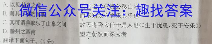 超级全能生2023届高考全国卷地区高三年级3月联考(3319C)语文