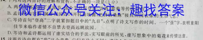 2023年普通高等学校招生全国统一考试考前演练二2(全国卷)语文