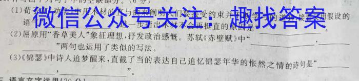 江西省青山湖区2023年3月九年级质量调研试卷语文