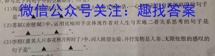 安徽省2023年名校之约·中考导向总复习模拟样卷（四）语文