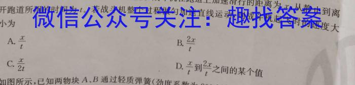 安徽省九年级2022-2023学年新课标闯关卷（十七）AH物理`