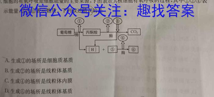 天一大联考 2022-2023学年高二年级阶段性测试(三)3生物试卷答案