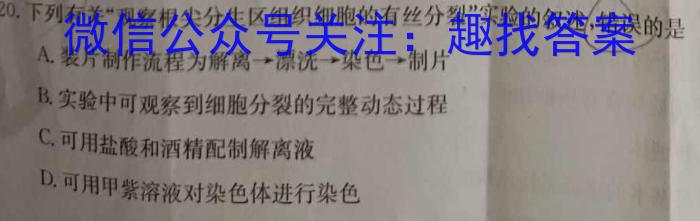 全国名校大联考2022~2023学年高三第八次联考试卷(新高考)生物试卷答案