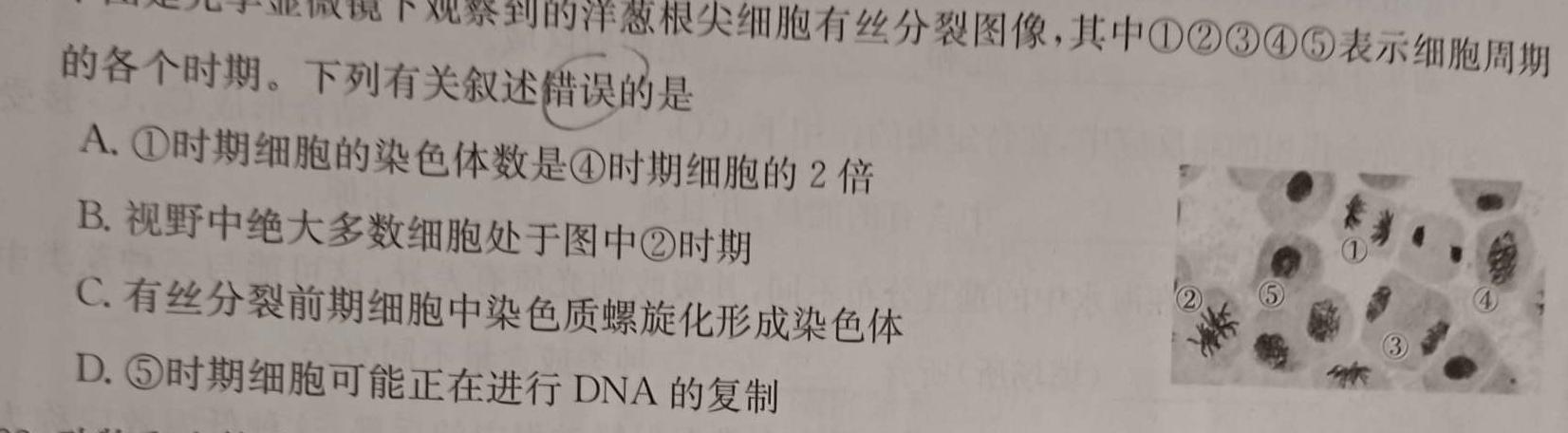 2023年普通高等学校招生伯乐马模拟考试(四)4生物