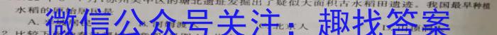 江淮名卷·2023年中考模拟信息卷(二)2历史