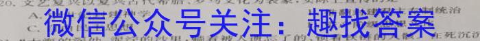 江西省2023届九年级下学期第一次联考历史
