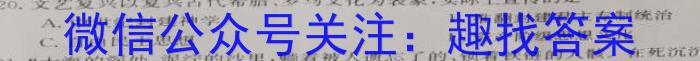 安徽省合肥市2023届九年级随堂练习（下学期第一次中考模拟）历史