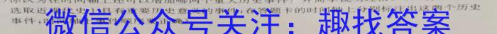 安徽省2023年九年级第一次教学质量检测(23-CZ140c)历史