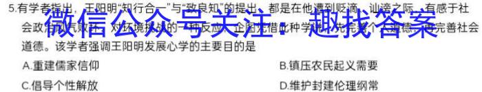 耀正文化(湖南四大名校联合编审)·2023届名校名师测评卷(五)5历史试卷