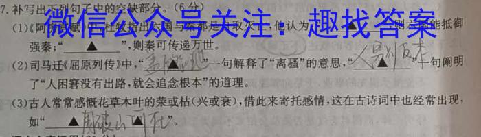 山西省晋城市阳城县2023年中考模拟练习语文