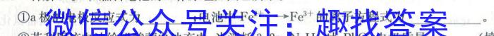 安徽第一卷·2023年安徽中考信息交流试卷（八）化学