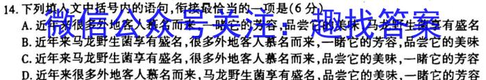 安徽省滁州市2023年中考第一次模拟考试语文