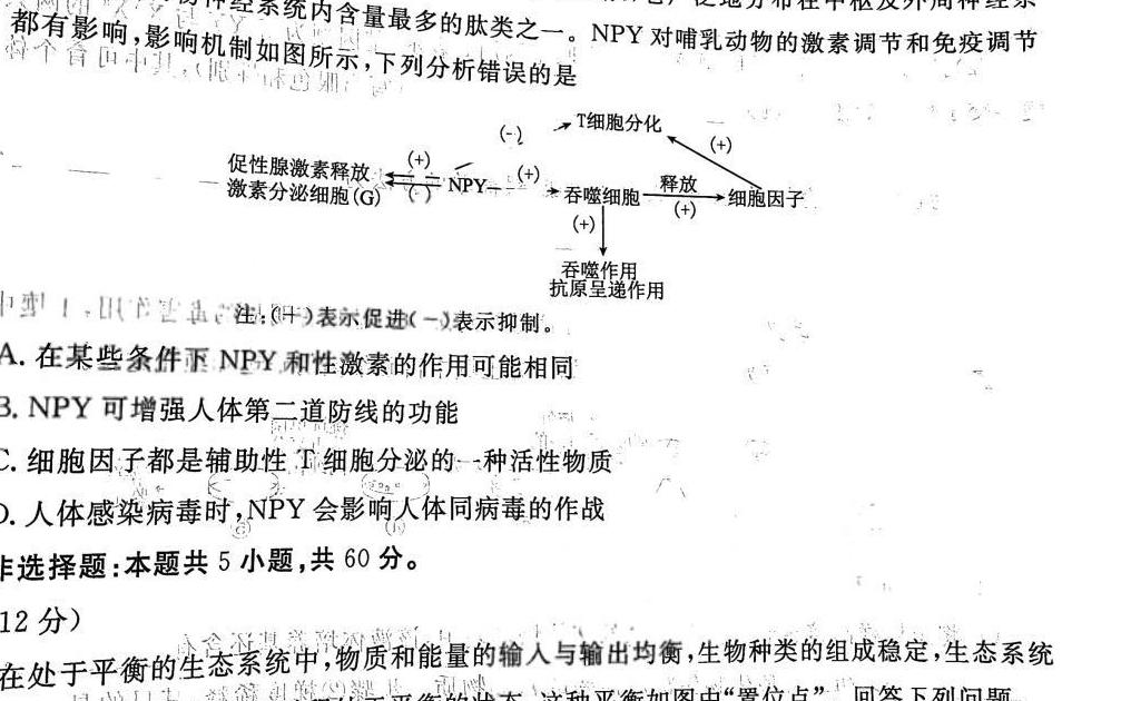 2024届包头市高二年级上学期期末教学质量检测生物