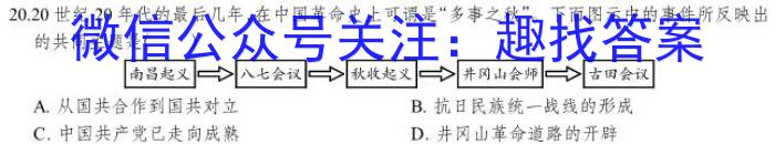 安徽省2023届同步达标月考卷·九年级3月摸底考试政治s