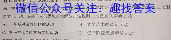 2023年陕西省初中学业水平考试全真模拟（二）历史