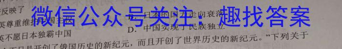 安徽省九年级2022-2023学年新课标闯关卷（十四）AH历史