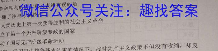 安徽省九年级2022-2023学年新课标闯关卷（十）AH历史