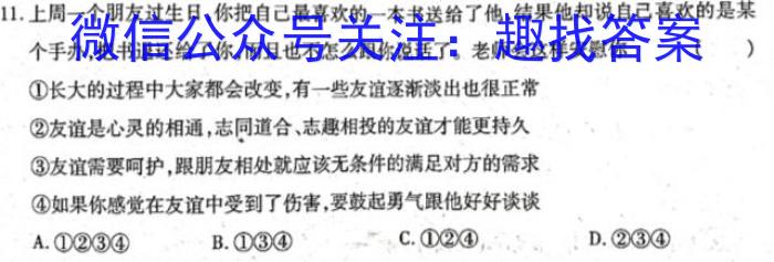 安徽省九年级2024-2023学年新课标闯关卷（十二）AH&政治