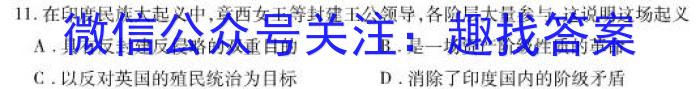 2022-2023学年朔州市高二年级阶段性测试(23453B)历史