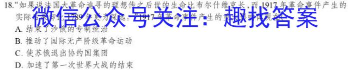 2023年河南省中招考试模拟试卷（二）历史