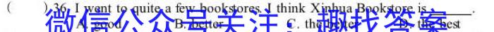 安徽第一卷·2023年安徽中考信息交流试卷（四）英语