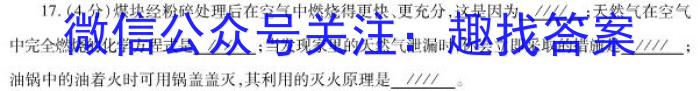 2022-2023学年陕西省七八九年级期末质量监测(23-CZ53a)化学