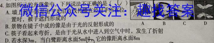 2023年临沂市2024级普通高中学科素养水平监测试卷(2023.2)q物理