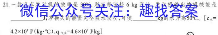 安徽省2023届九年级结课评估（5LR）q物理