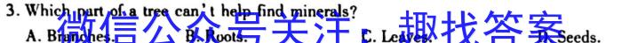 辽宁省2023年中考模拟试题(LN)英语