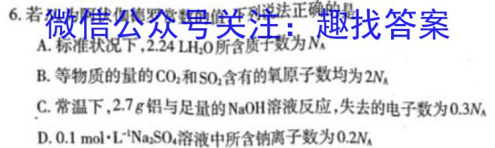 山东省2023届九年级第二学期片区九校联合检测化学