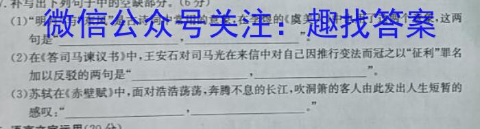 2023届九师联盟高三年级3月质量检测（新高考-G）语文