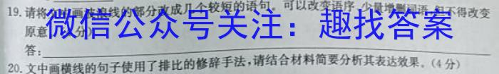 2022~2023学年白山市高三三模联考试卷(23-324C)语文