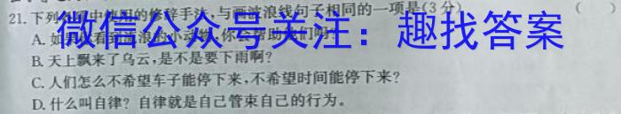 江西省2023届九年级江西中考总复习模拟卷（四）语文