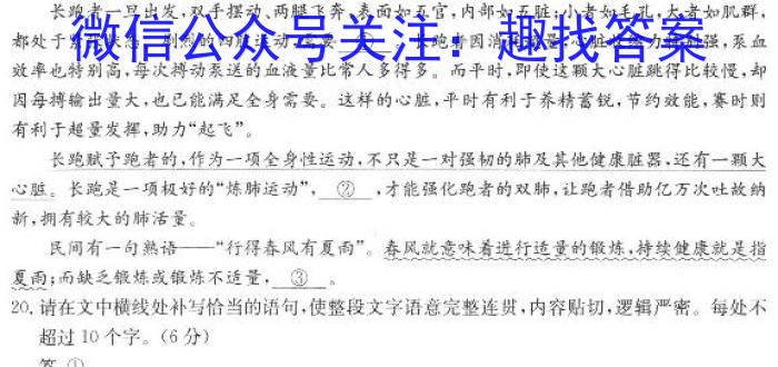 天一大联考·2023届河南省“顶尖计划”高三第三次联考（三）语文