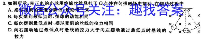 安徽省2023届九年级下学期教学质量调研考试.物理