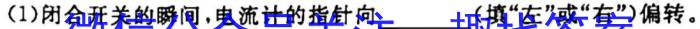 ［泰安一模］2023届山东省泰安市高三年级第一次模拟考试q物理