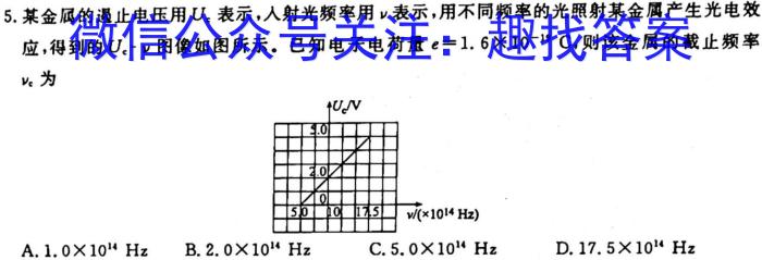 安徽省六安市2024届八年级第一学期期末质量监测f物理