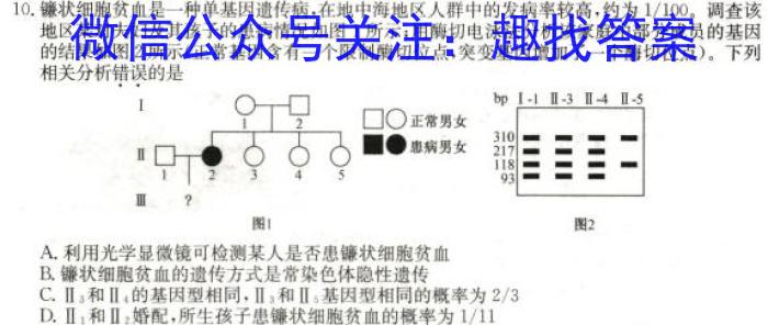 安师联盟2023年中考权威预测模拟考试（四）生物