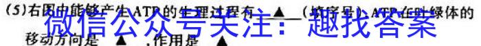 023年普通高等学校招生全国统一考试